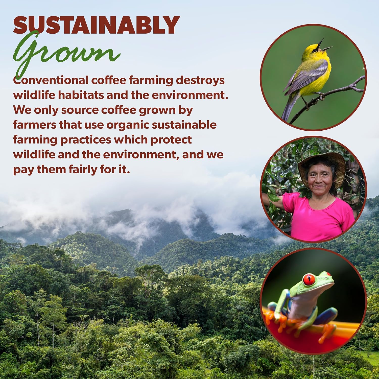 Java Planet Organic, Sumatra Single Origin Dark Roast, Smooth Full Flavored Organic Coffee Beans, Low Acid, Whole Bean Coffee Two 1LB Bags - Image 7