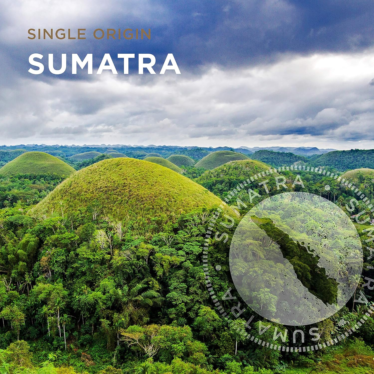 Peet's Coffee, Dark Roast Ground Coffee - Single Origin Sumatra 10.5 Ounce Bag - Image 9