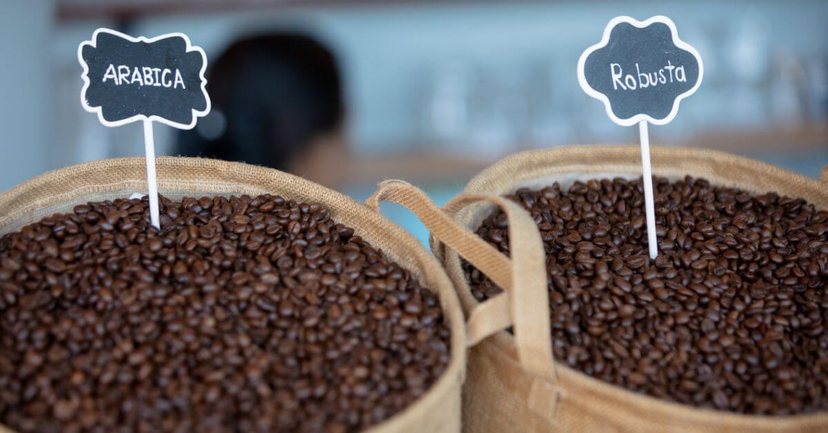 Is Arabica Or Robusta Best For Cold Brew Coffee?